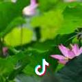 李海