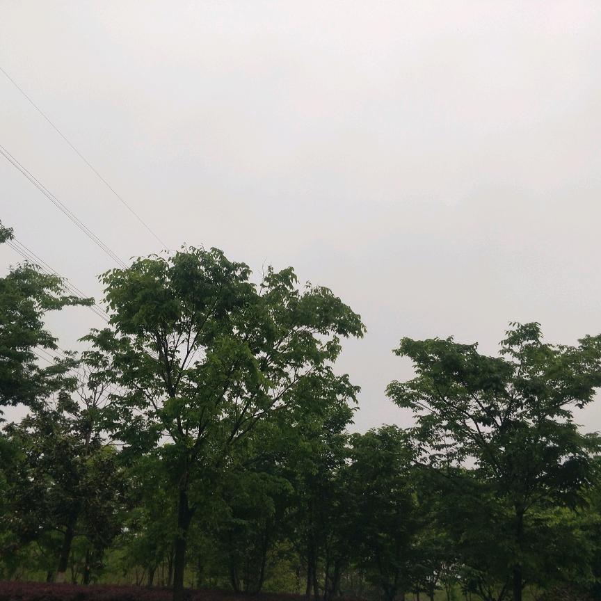 大哥哥