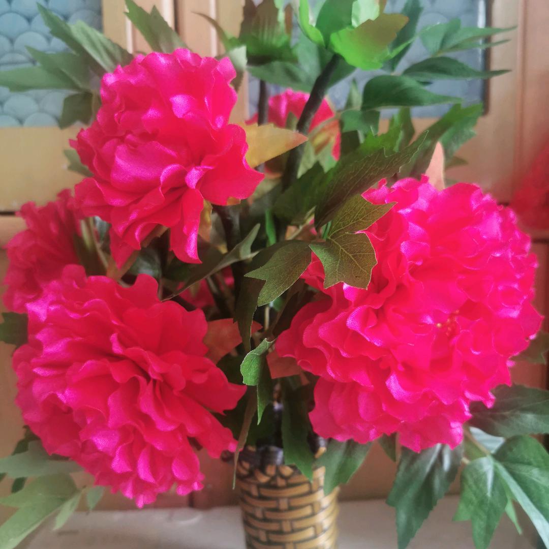 🧚‍♂️🐍琴🦋🌹