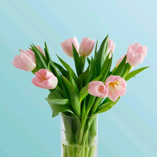 豆芽讲电影@抖音