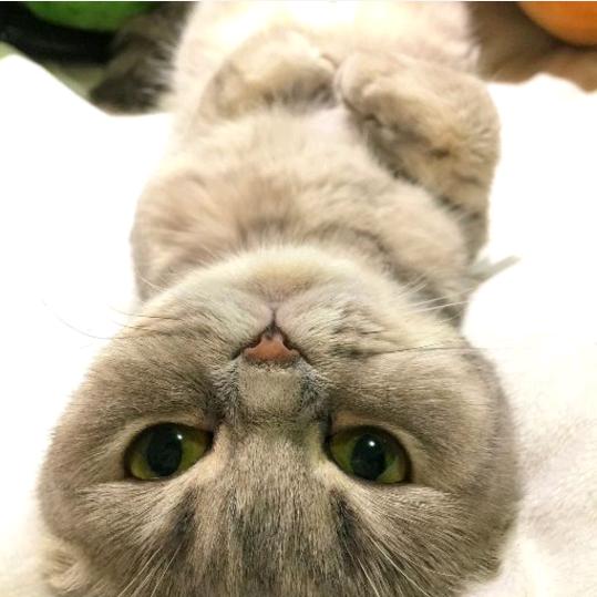 周短短