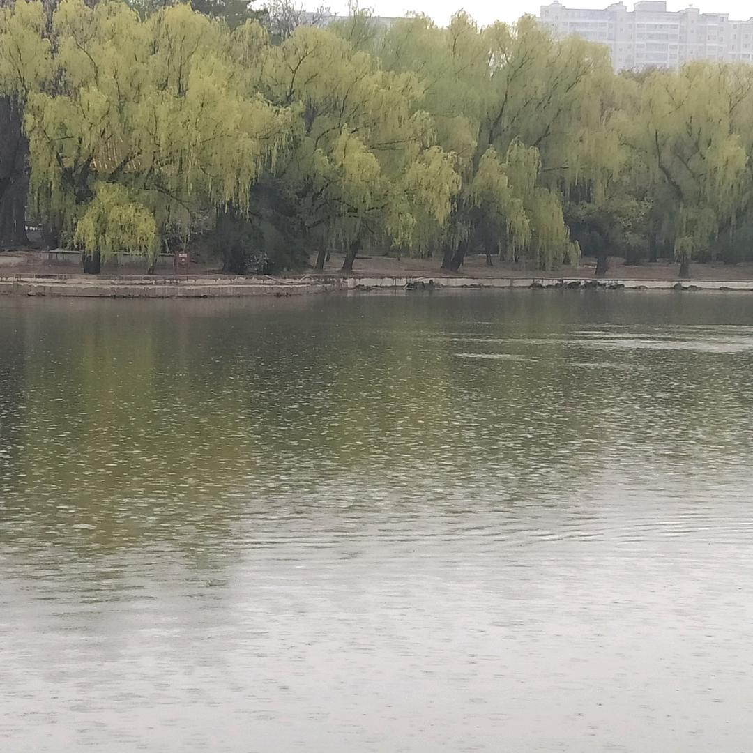 河底沙粒