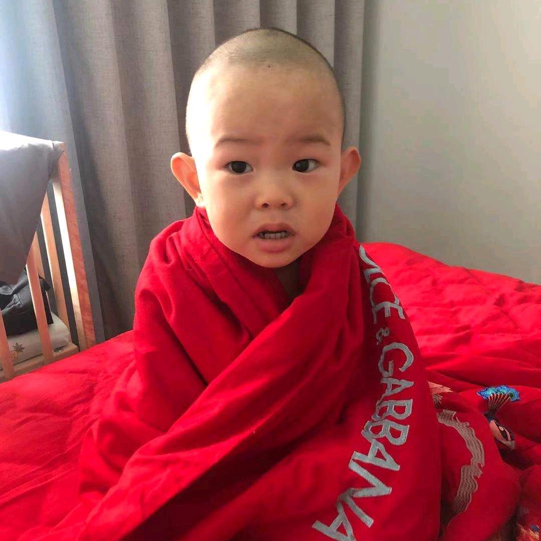 狗子杰克头像
