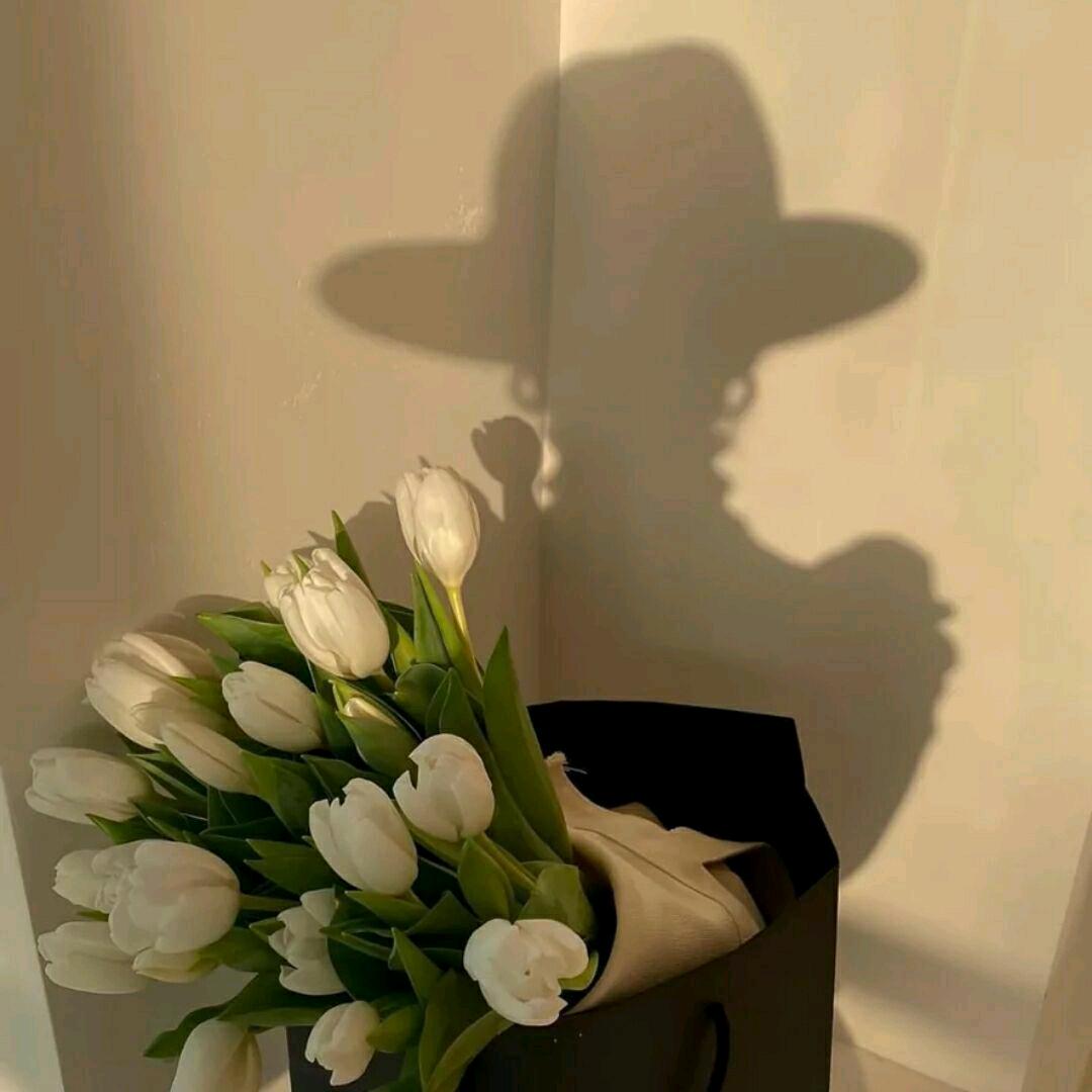 🌈🎶齐齐🇨🇳