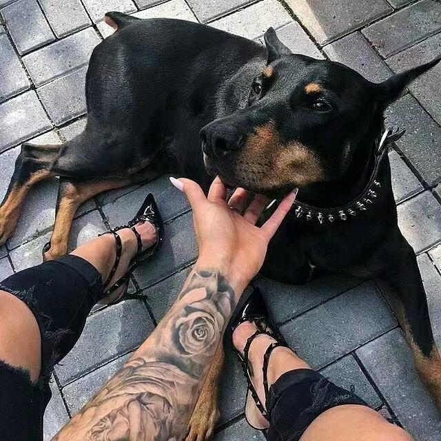 命运