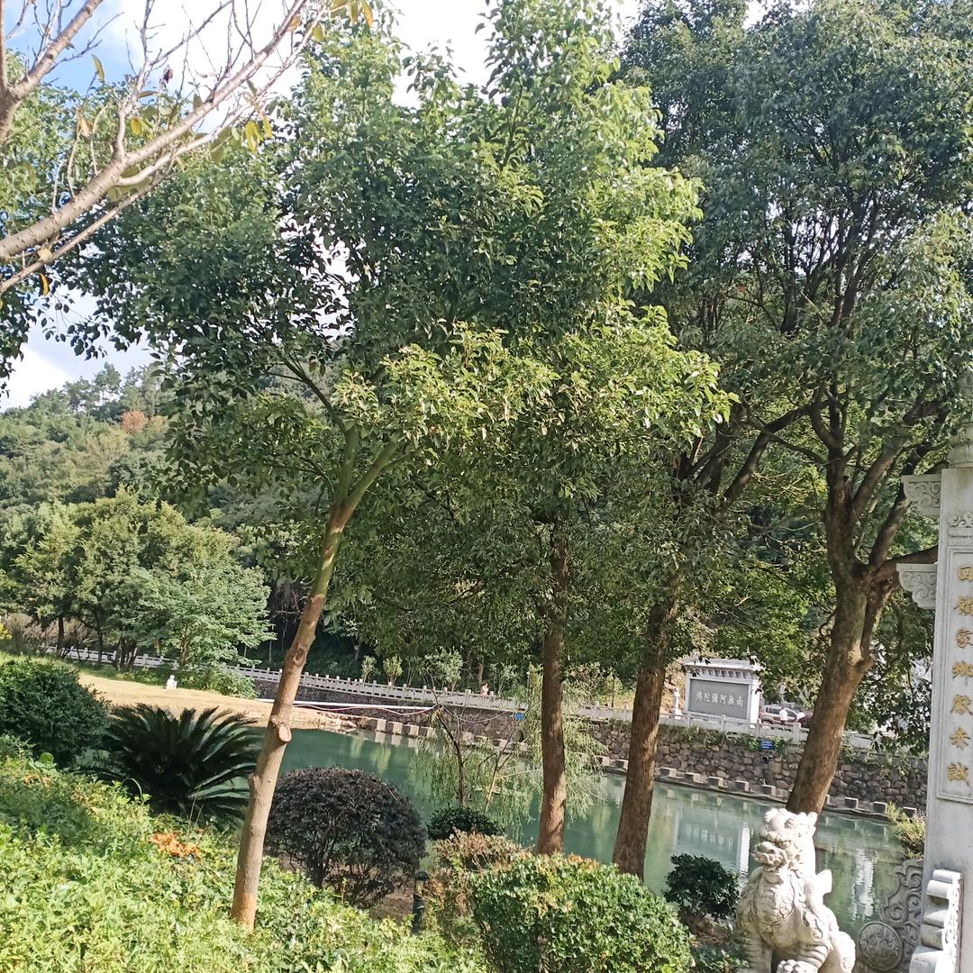 韩萧