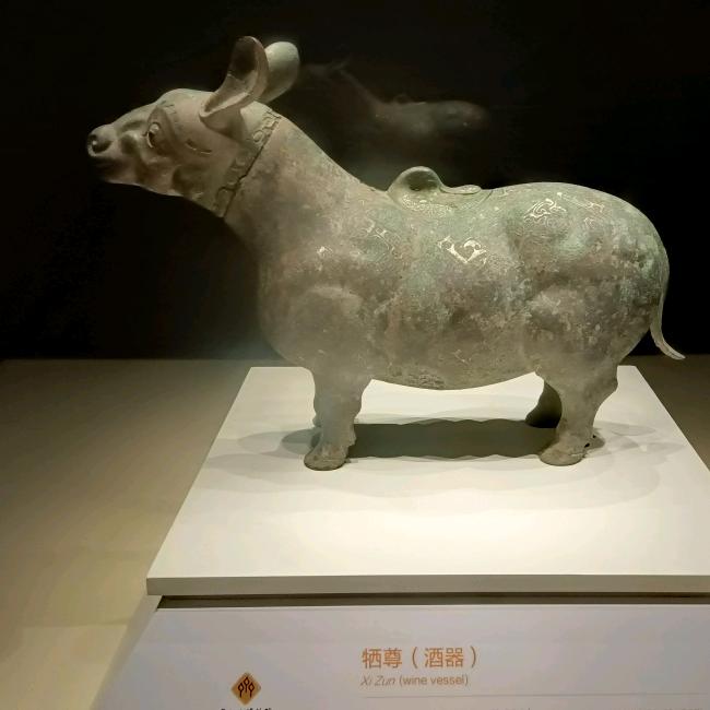 小飞驴🐴