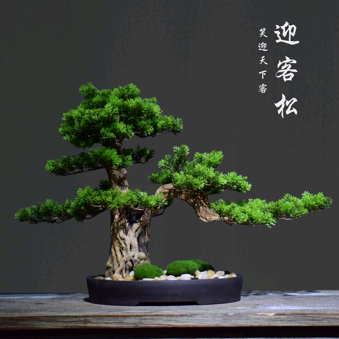 盛意盆景