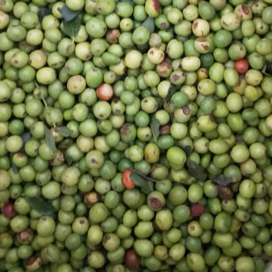 风韬农贸有限公司