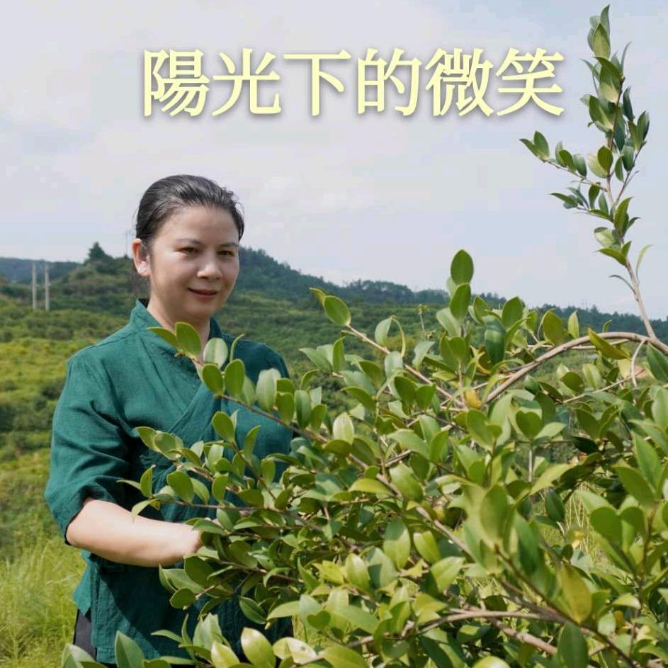 阿嫲家的茶油
