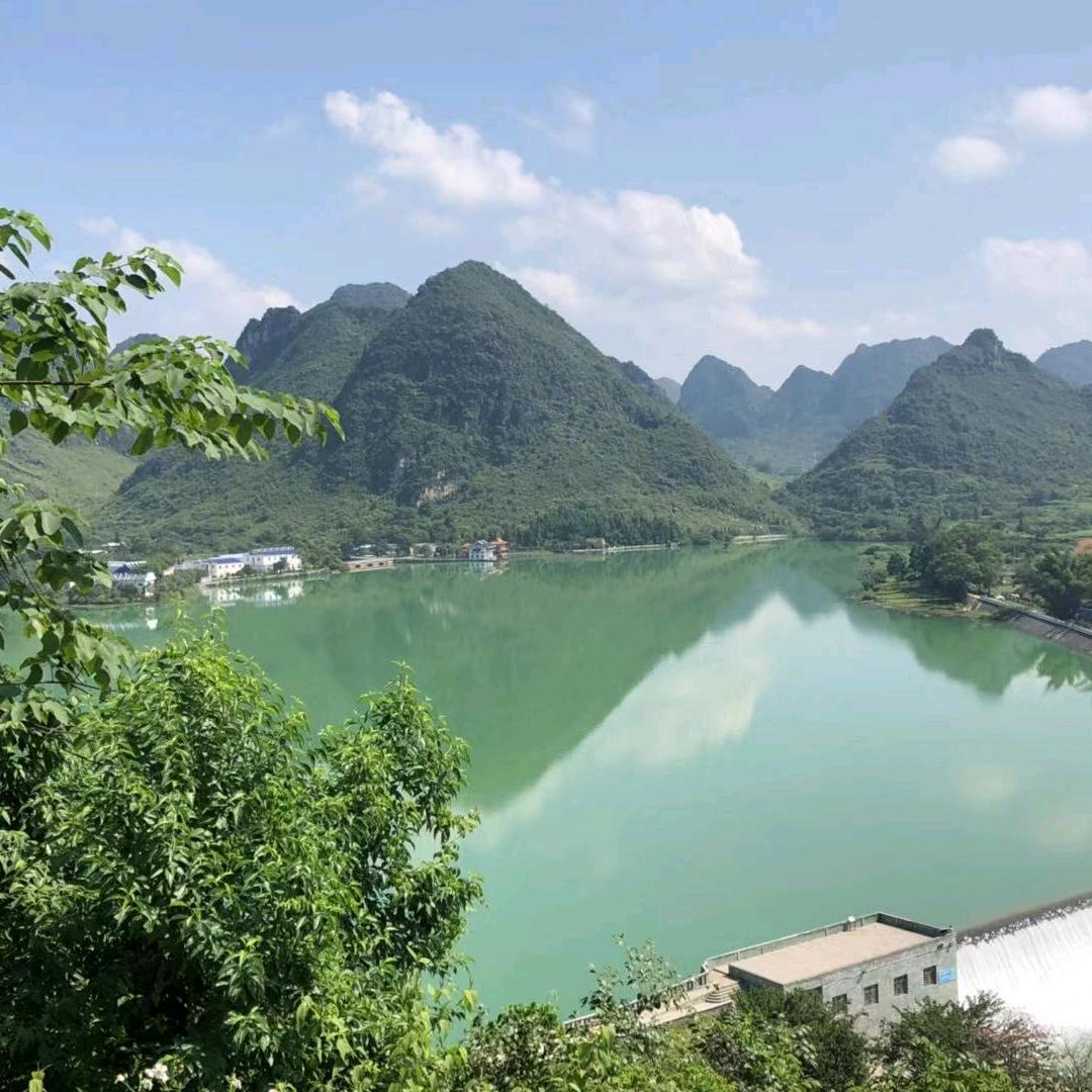 玉莲