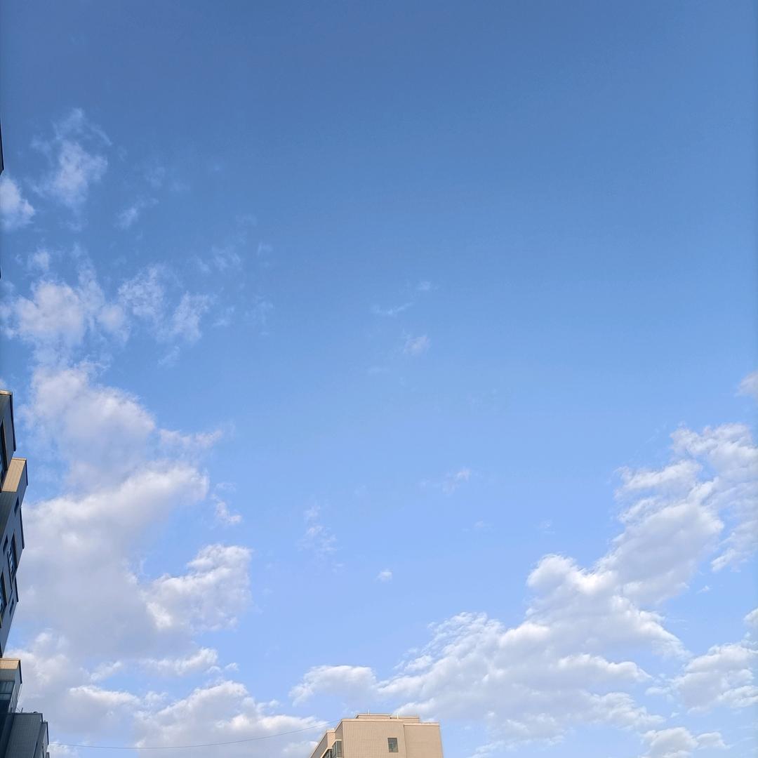 王来顺