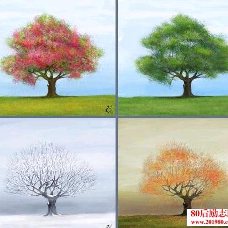 .花开富贵.
