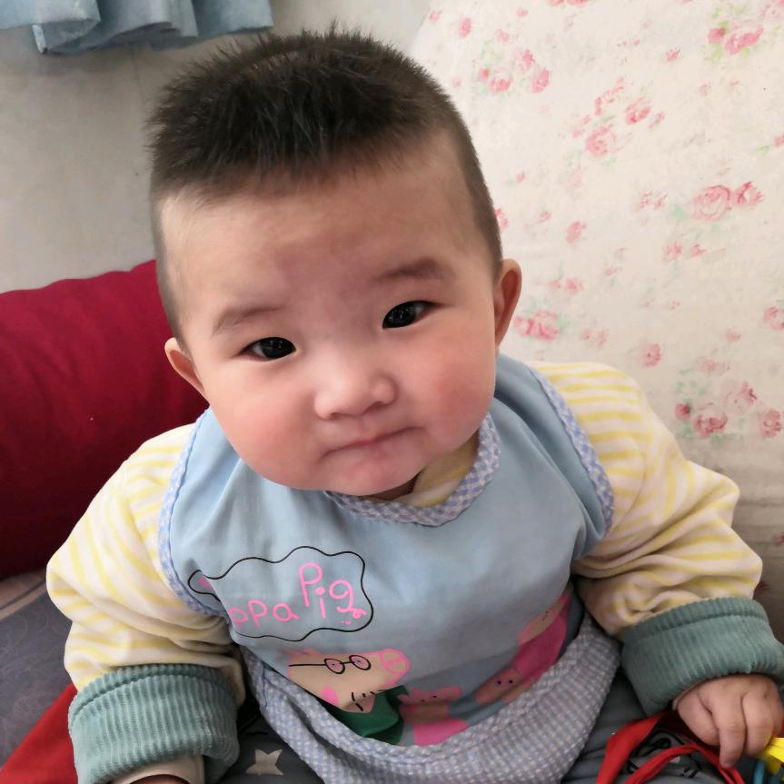 @蝴蝶的伤痛。