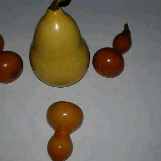 涛子T