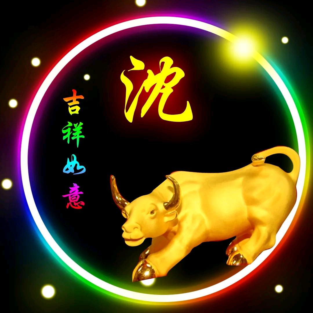 沈在华