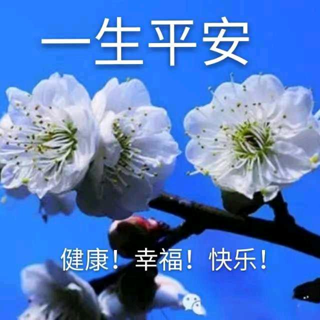 一生平安