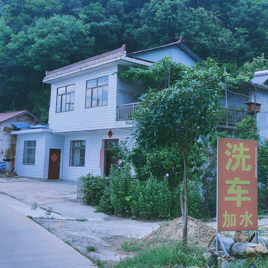 青山人