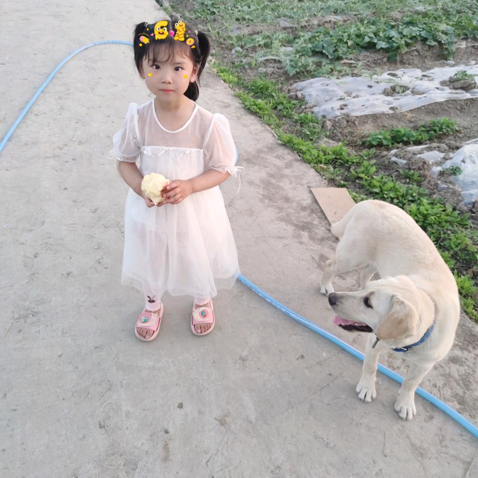 手可摘星陈