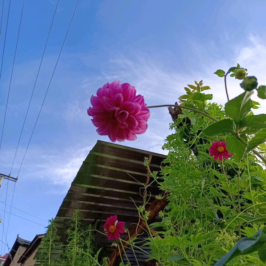 小雨