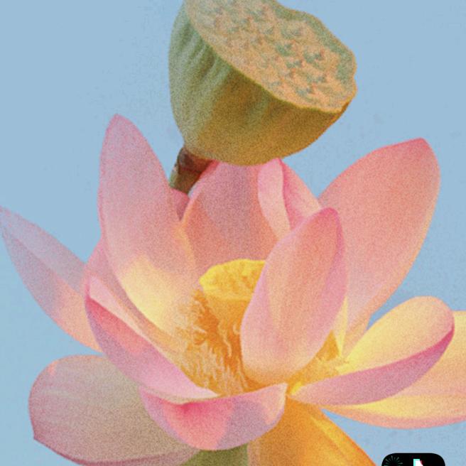 红莲花