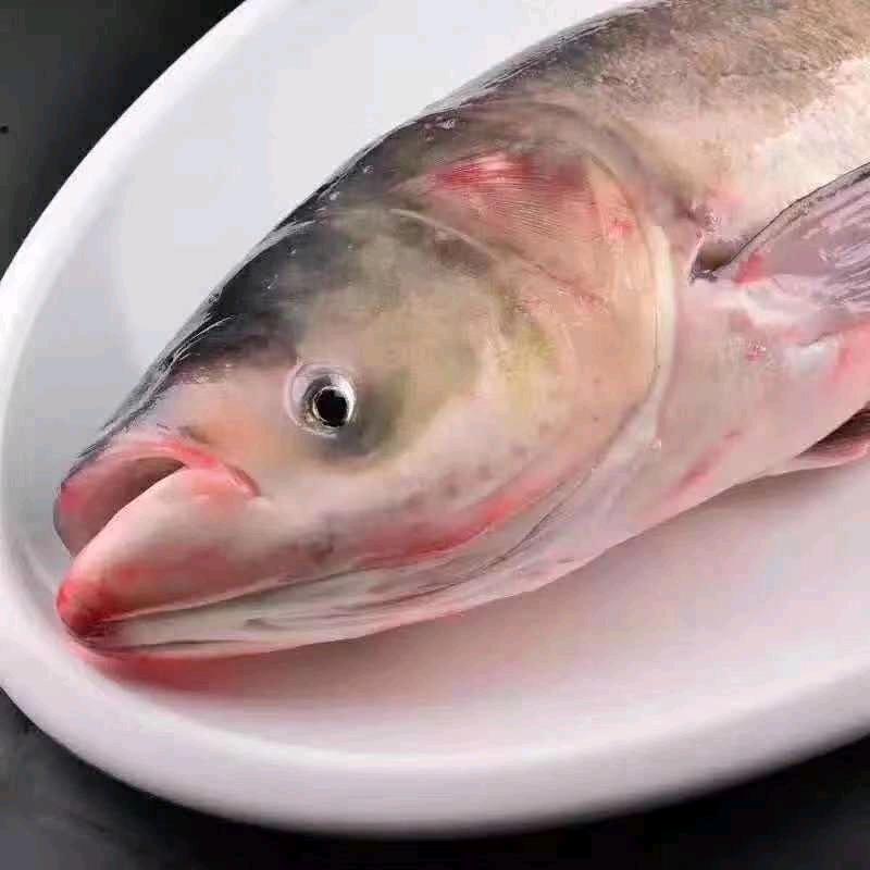 查干湖聚云阁鱼馆