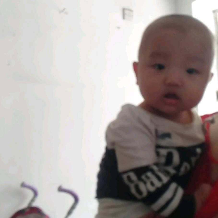 李晨曦