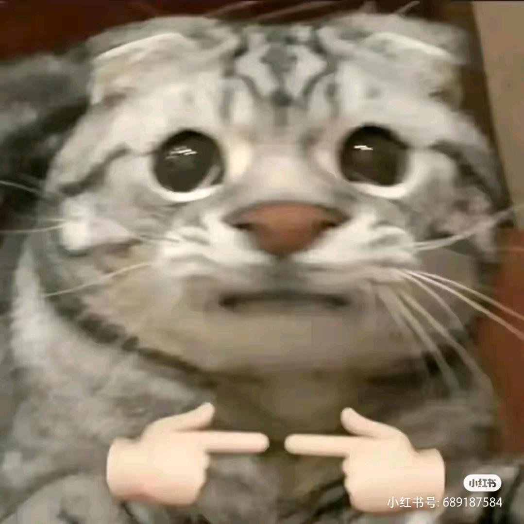 赤莲