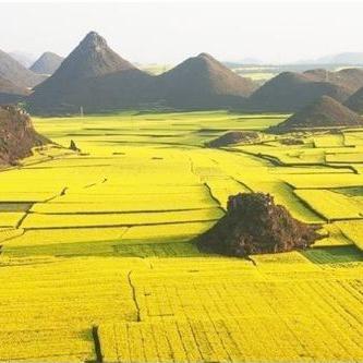 蔡金洪