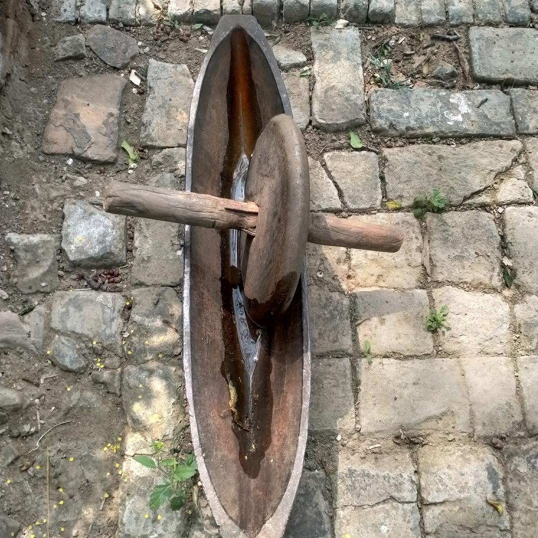 《常有理》果园