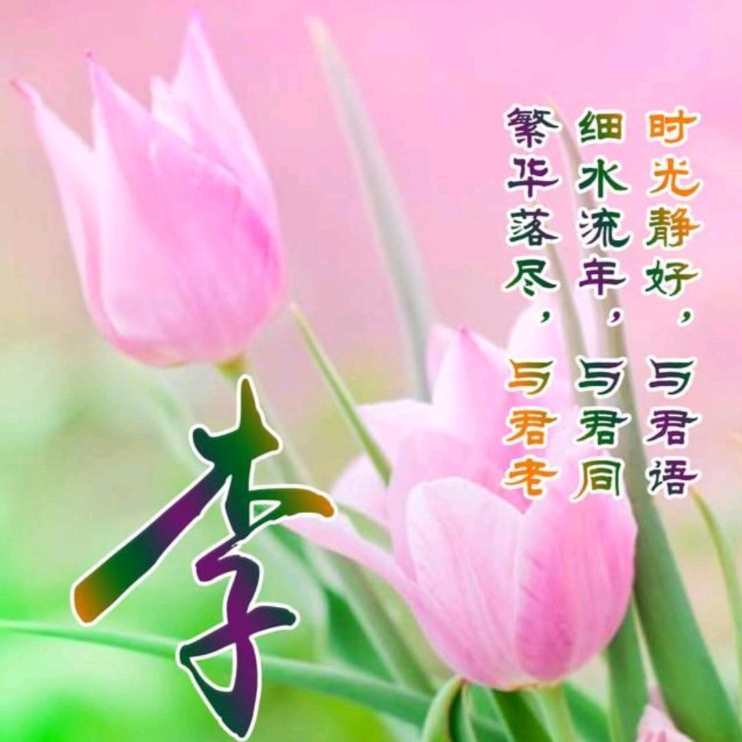 农村酒姐