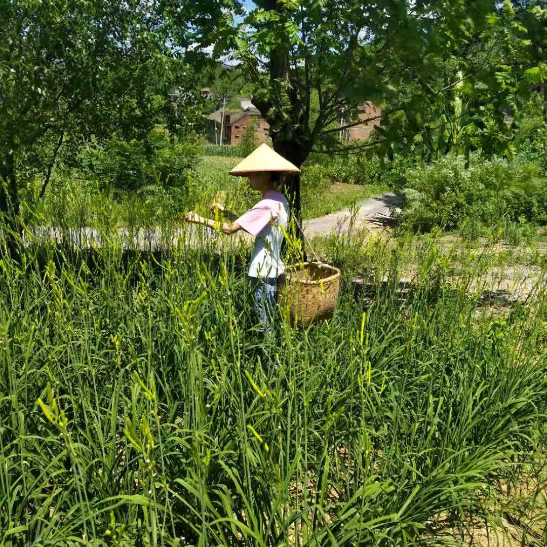 湘里人