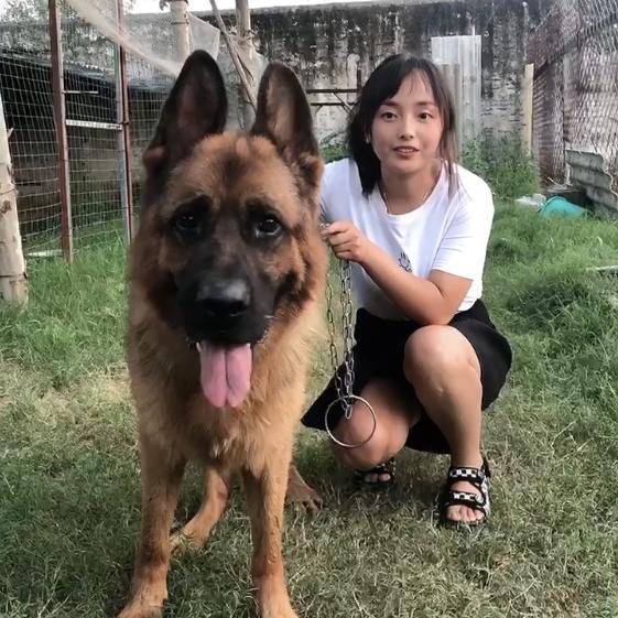 90后养犬妹子