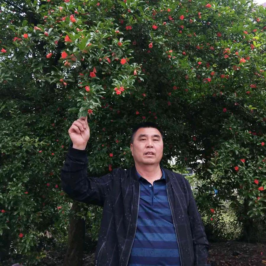 顺哥