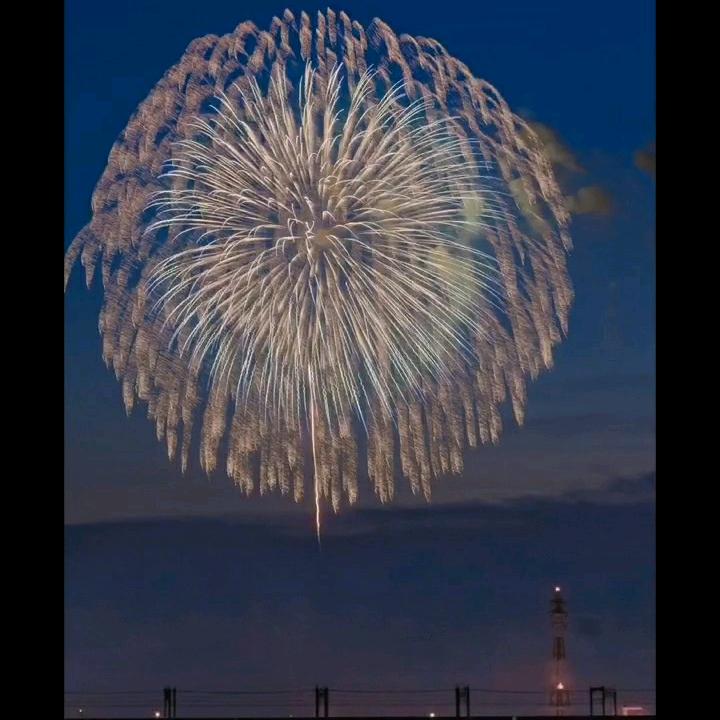 柠檬草的味道头像