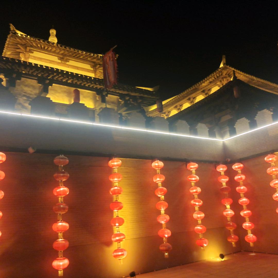 小燕孑