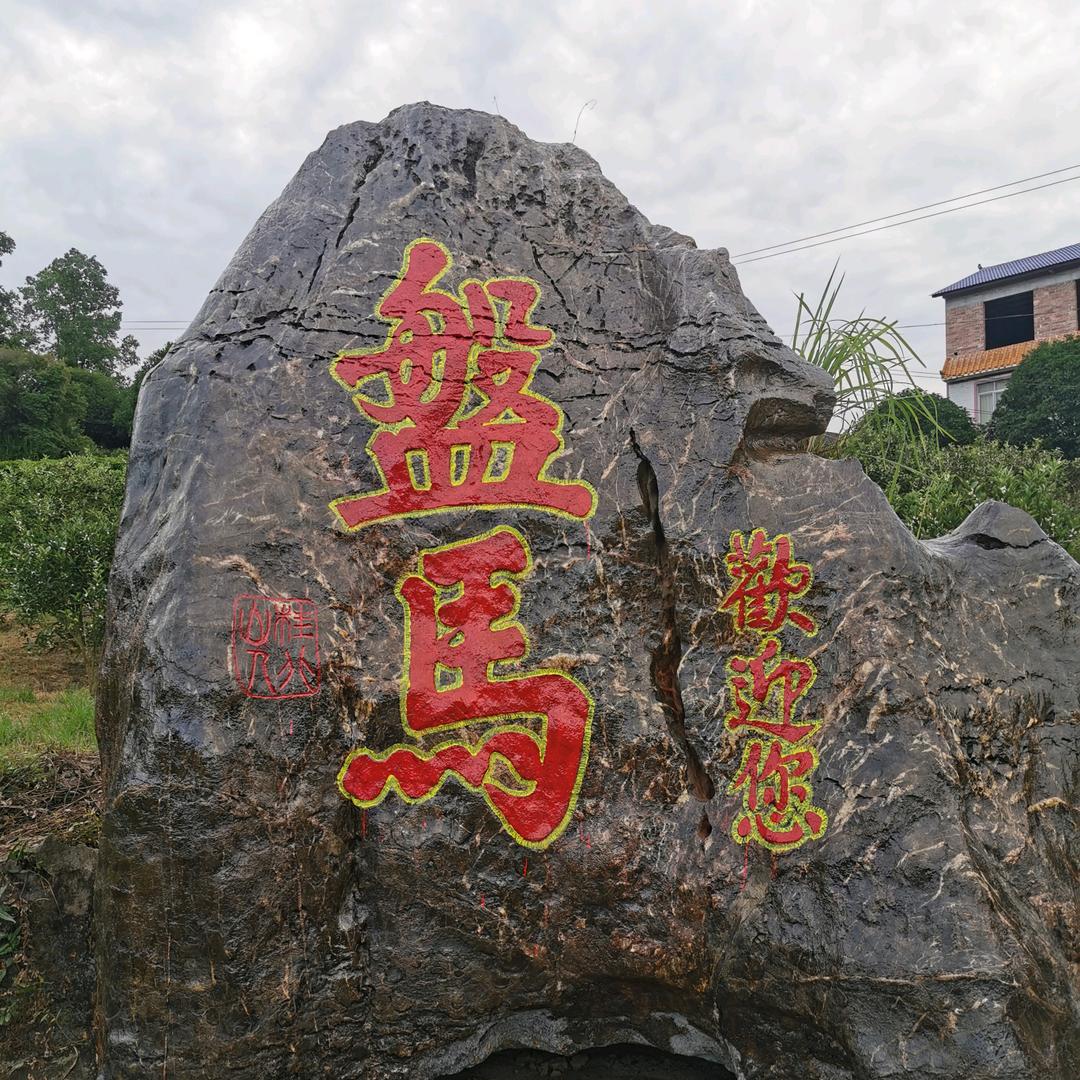 杨仔（绿田臻品果业）