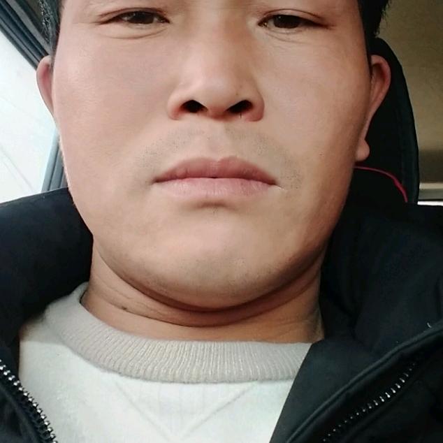 封丘 营哥 买树