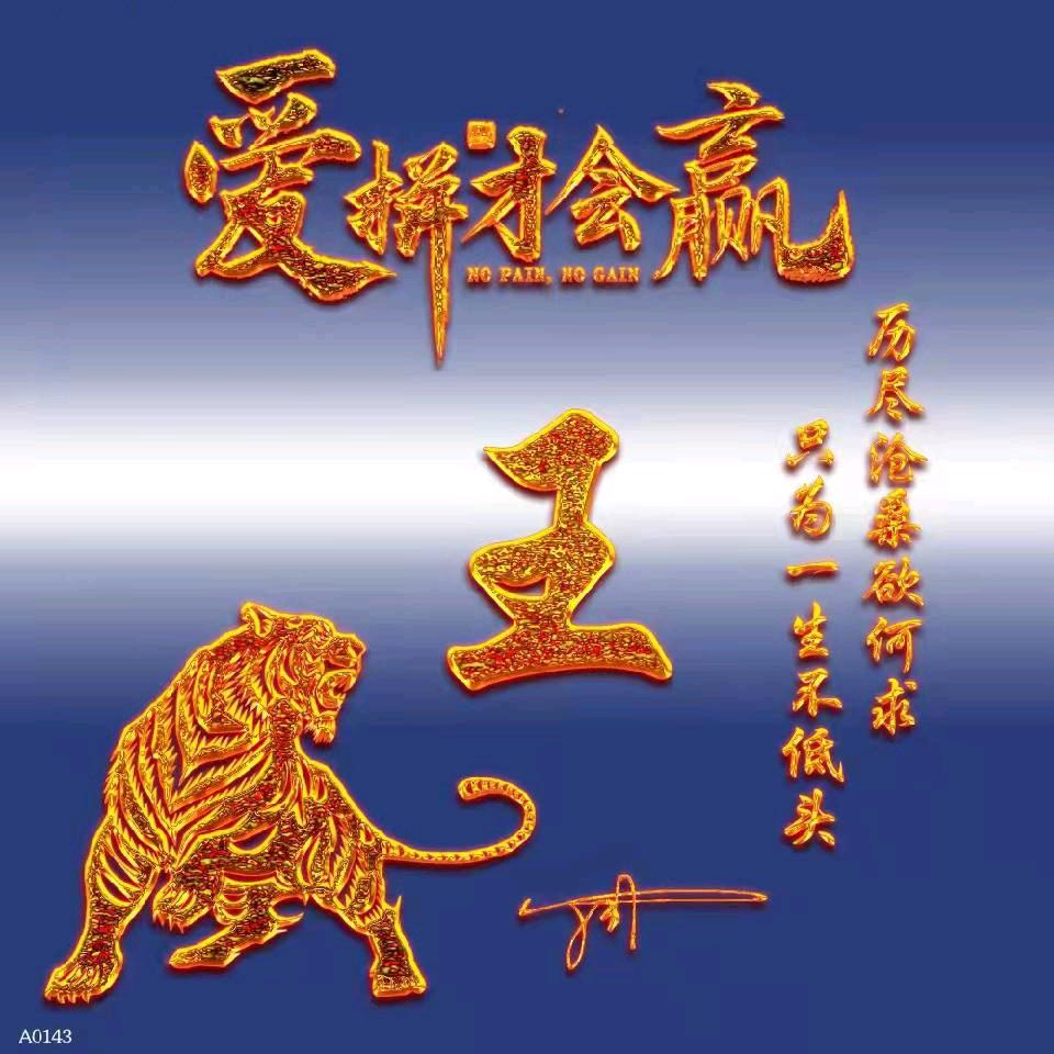 猎鹰1