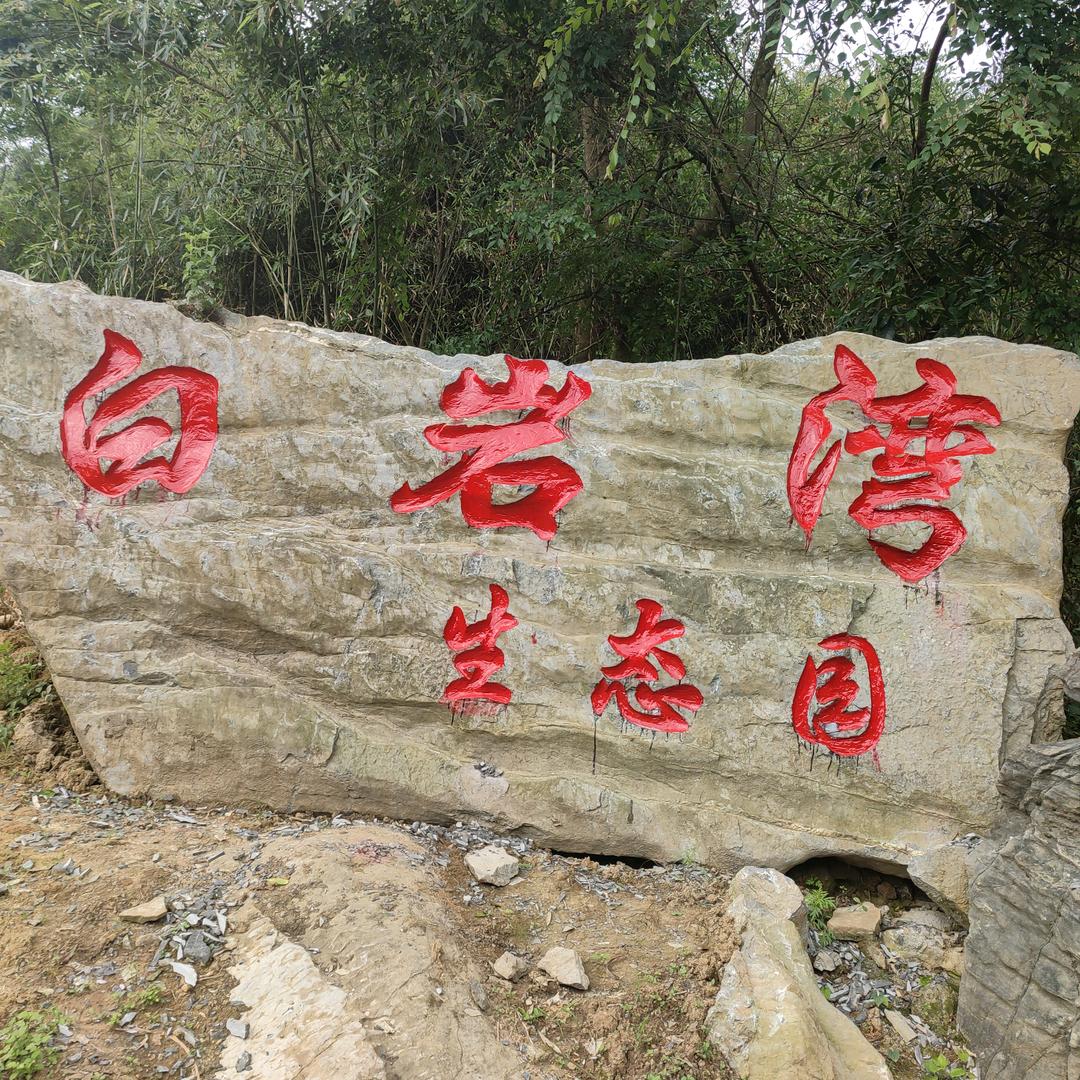 白岩湾生态果园