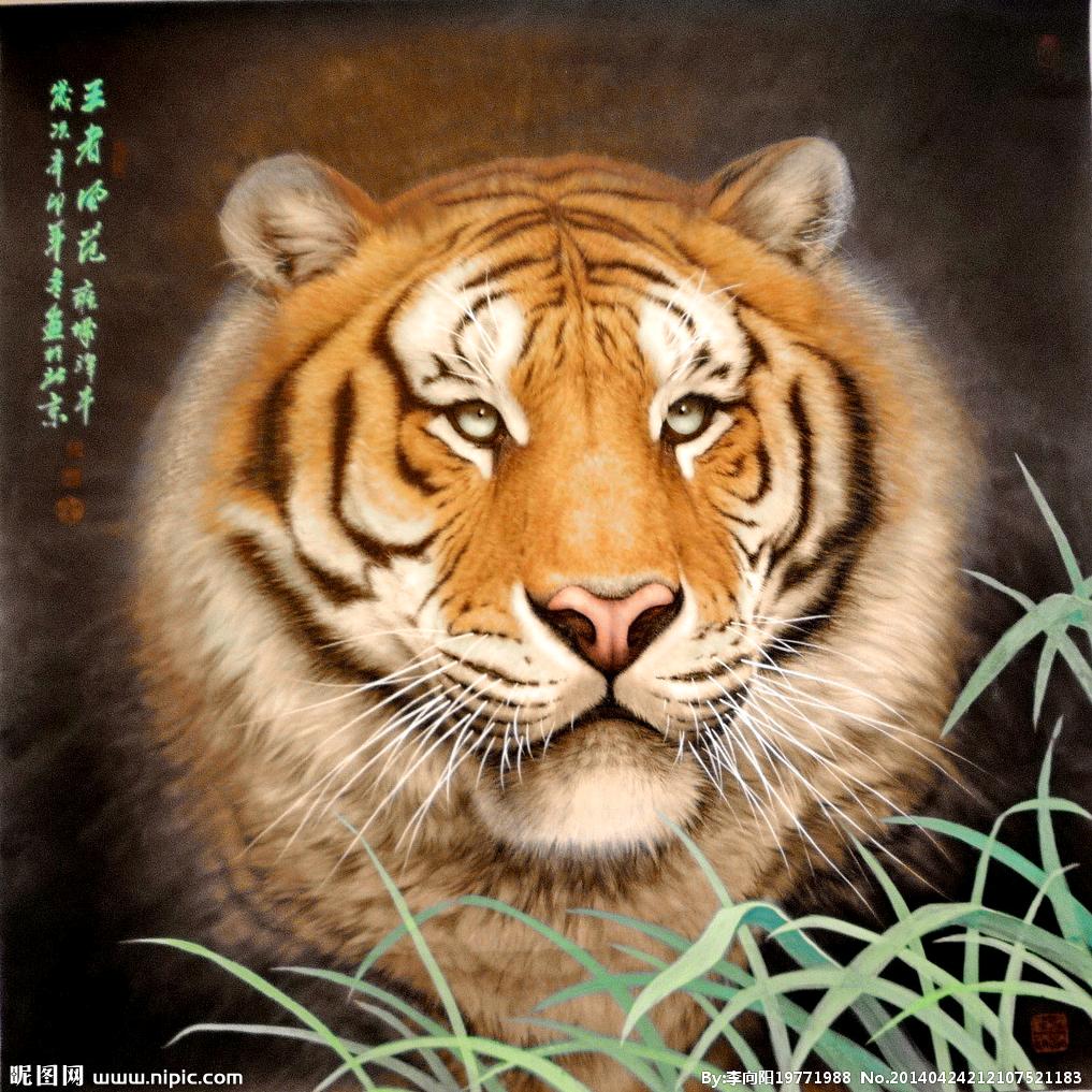 虎