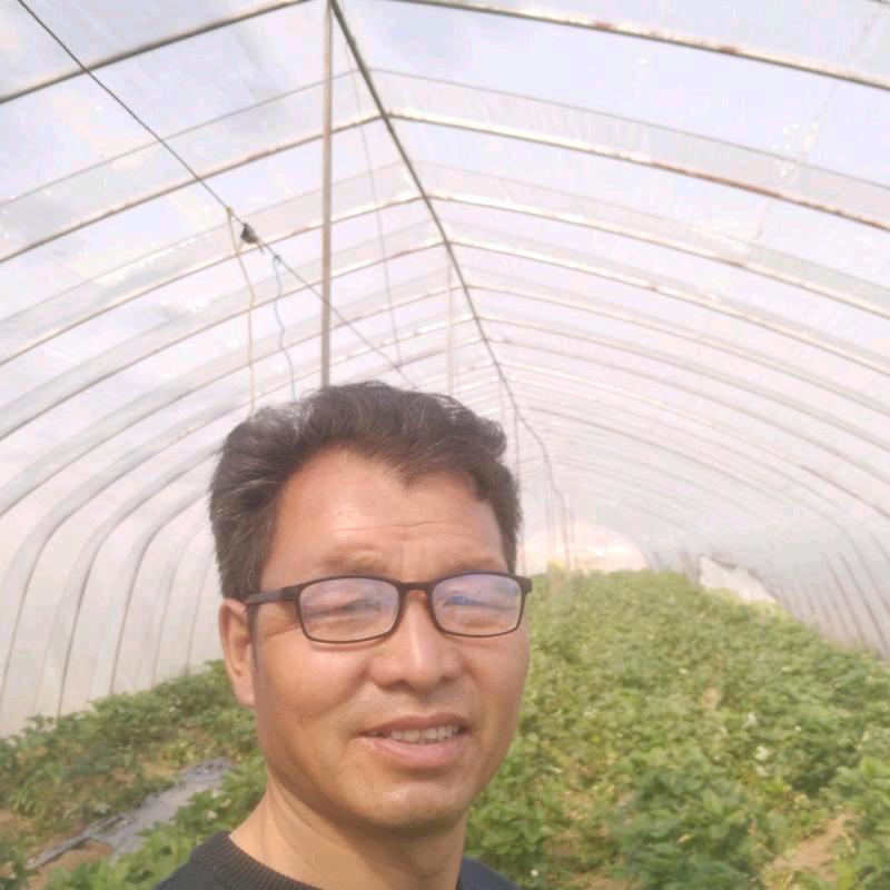 傅【付】哥