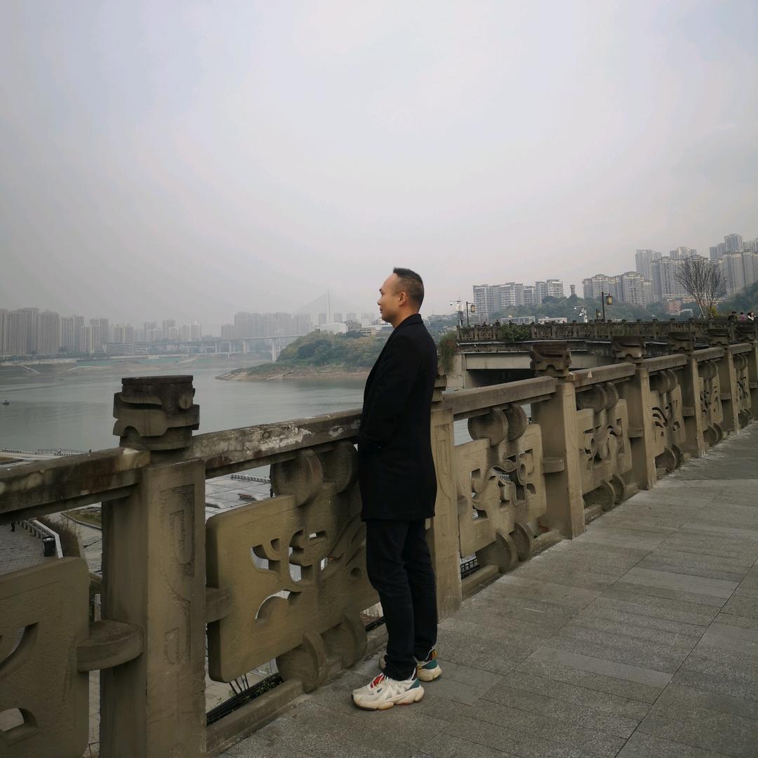 爬山虎履带运输车