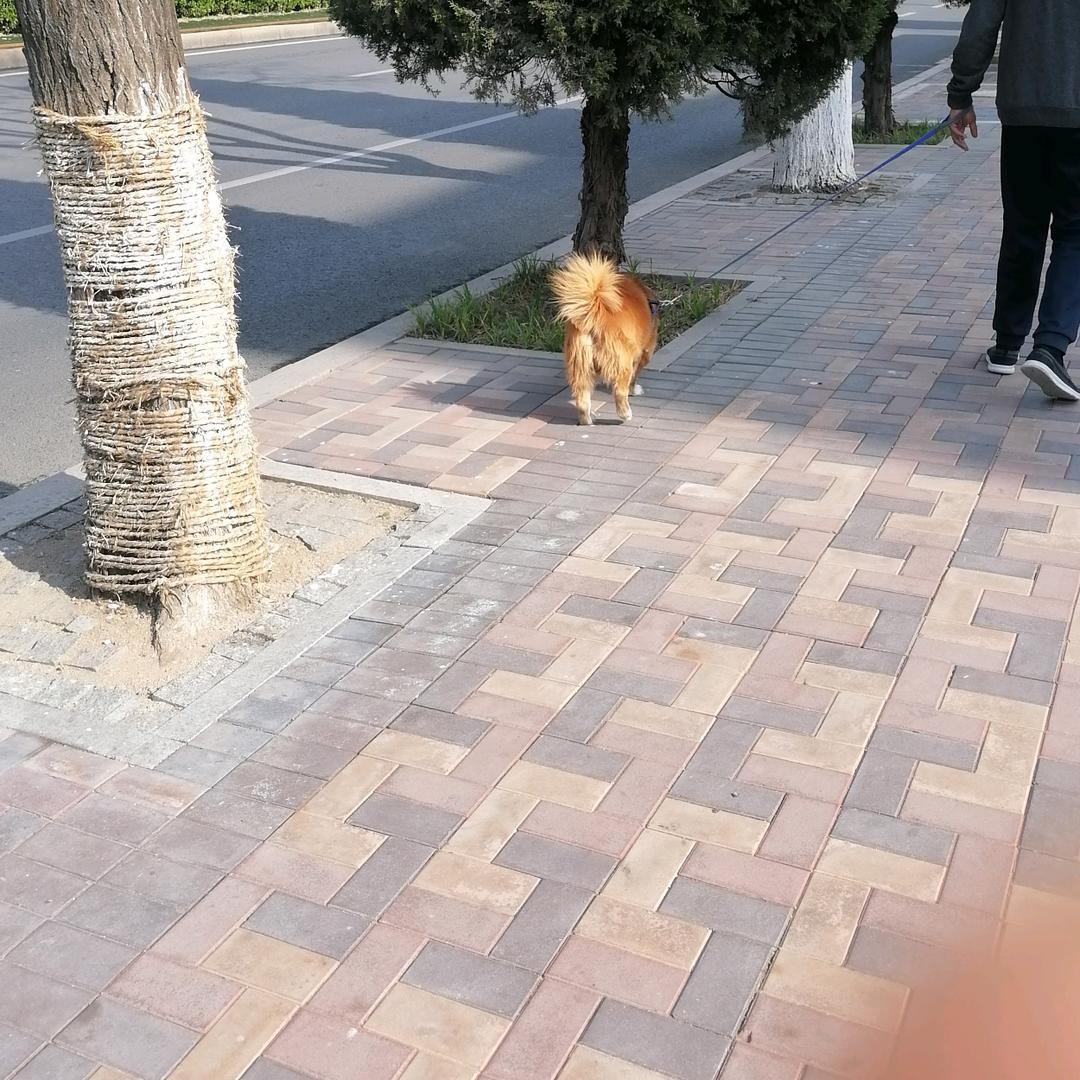 城阳万能维修工