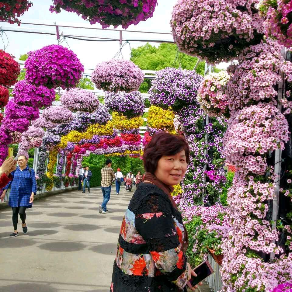 王娟