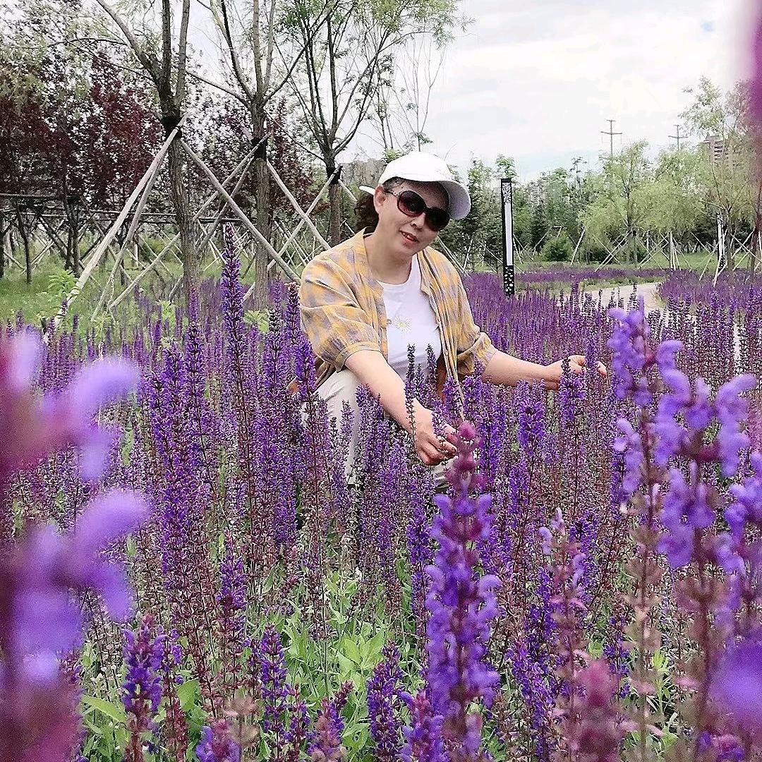 高月芝