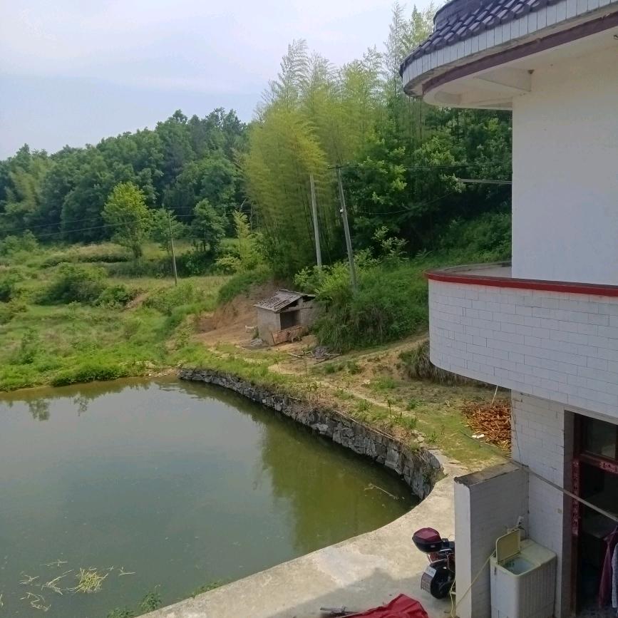 两个女儿的妈妈