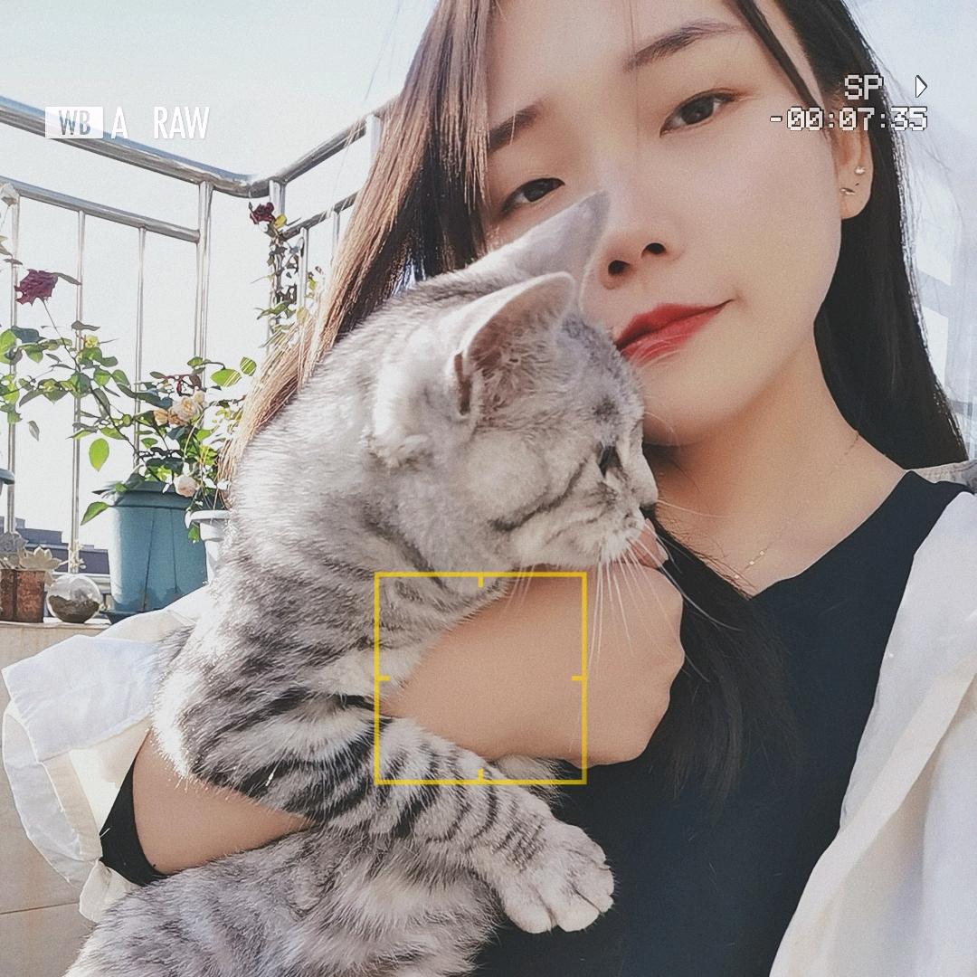 如果还有如果的如果