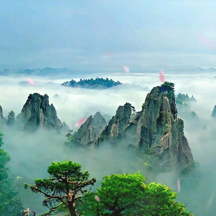 悦需轩