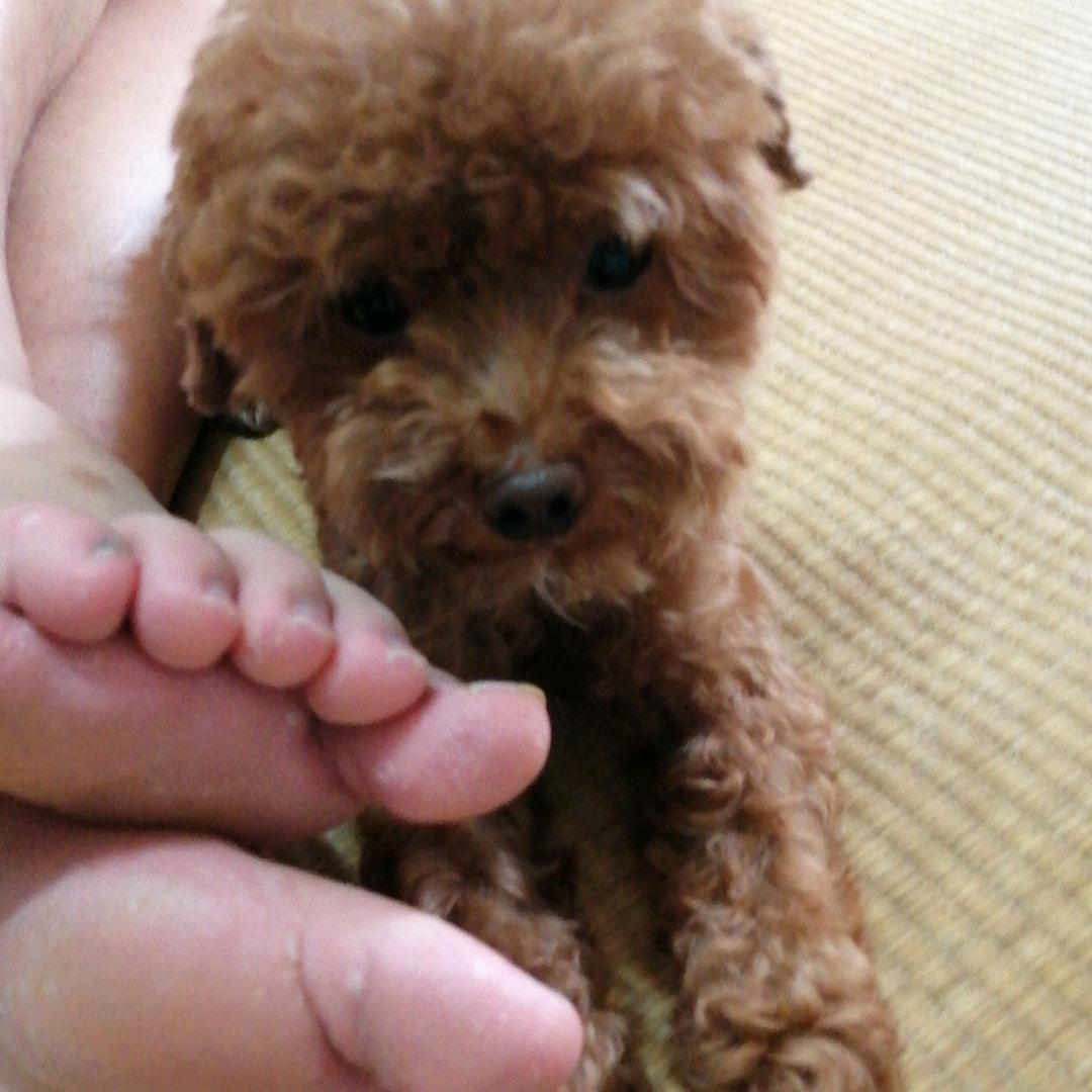 小六子2175565622017